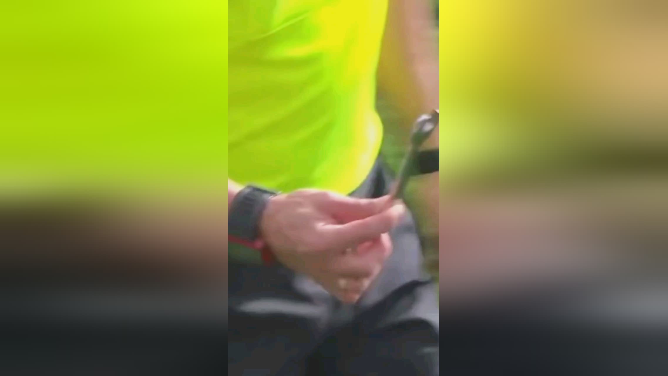 出了一